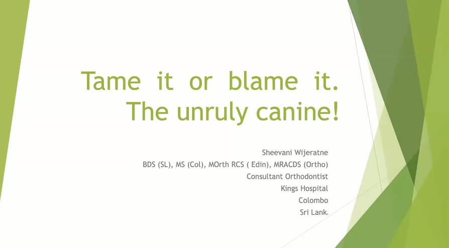 Tame It or Blame It! The Unruly Canine